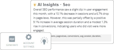 Organic Traffic Overview section AI summary